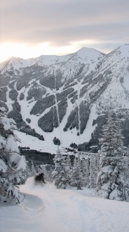 Skiing down East Peak in a foot of new snow