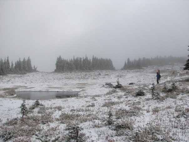 A dusting of snow in Spray park in Mount Rainier National Park