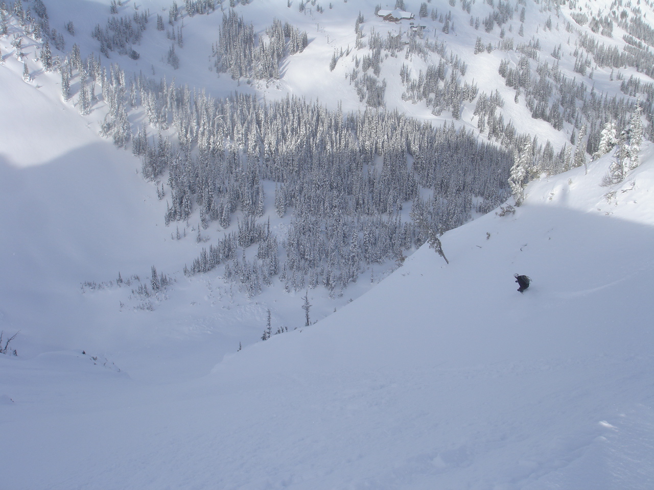 Skiing the North side of the King into Avalanche Basin