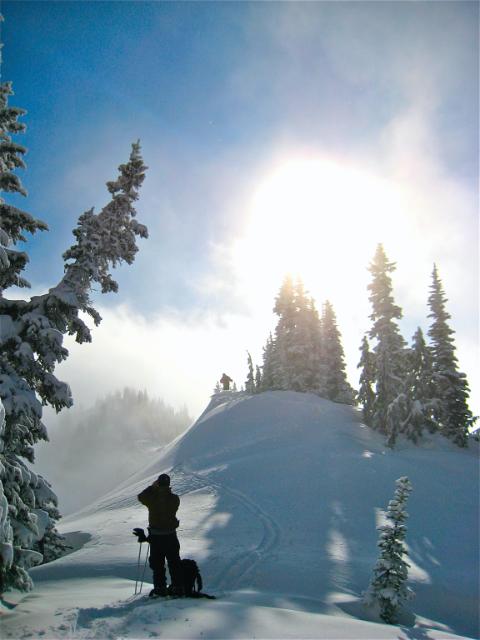 Enjoying some sunshine on our ski tour in the Crystal Mountain Backcountry