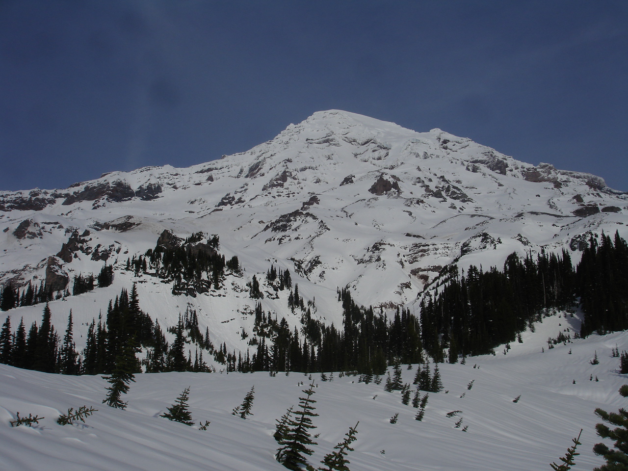 view of Mt Rainier and Van Trump Park