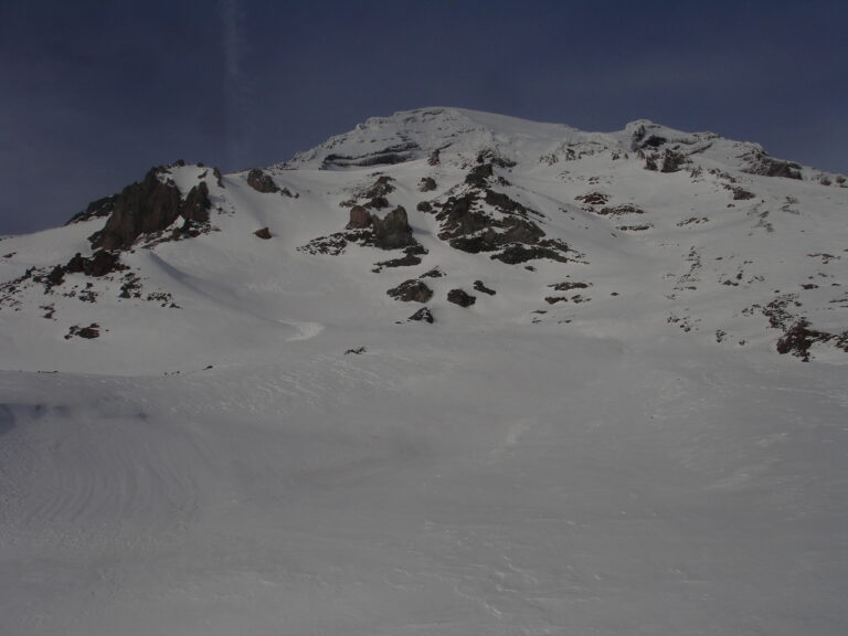 Looking up at Mount Rainier from Van Trump Park