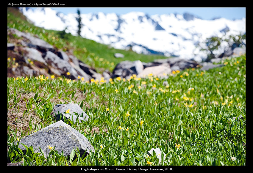 Arriving on the high alpine of Mount Carrie while on the Bailey Range Traverse