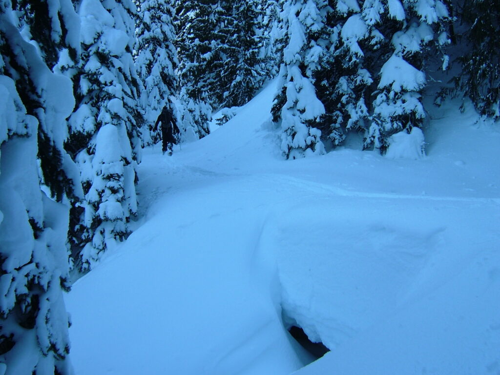 Skinning up the White River trail