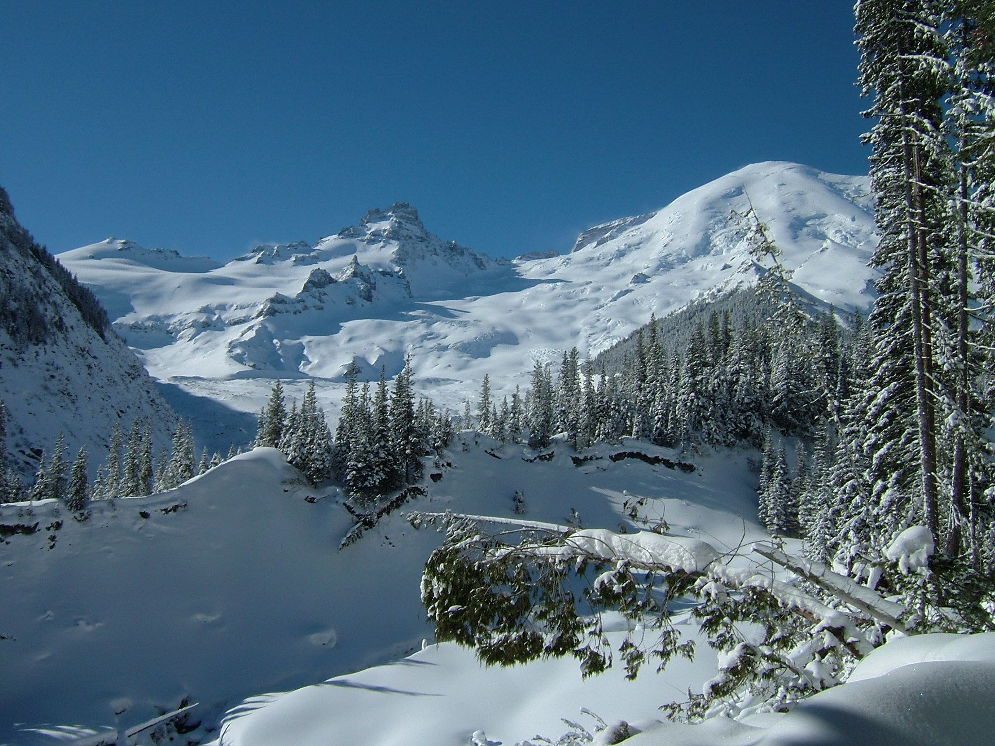 The view of Rainier, Tahoma and the Emmons glacier in the background