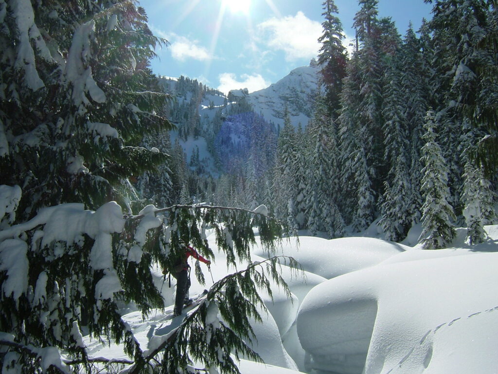 Heading up Fryingpan Creek