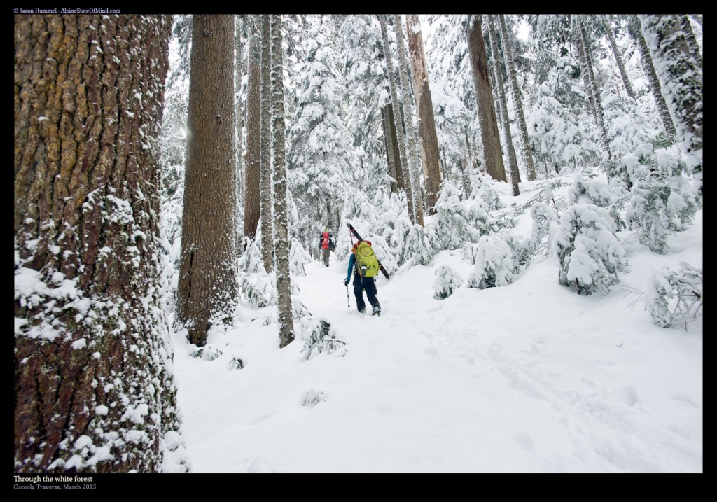 Hiking up the Alki Point Trail and getting into the snow in Mount Rainier National Park on our first day of the Osceola Traverse