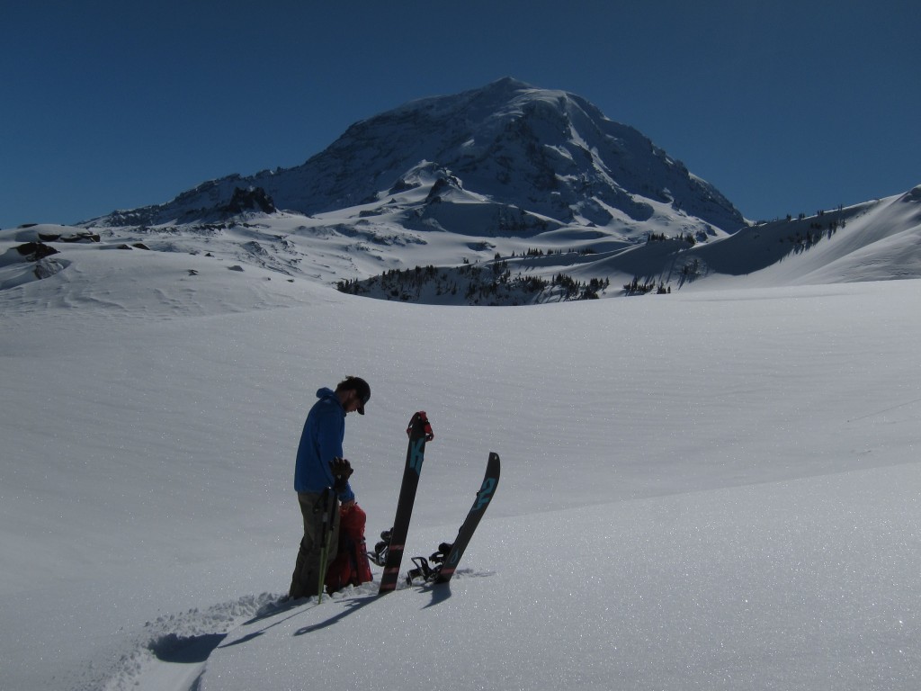 Mist Park and Mt. Pleasant in the foreground in Mount Rainier National Park