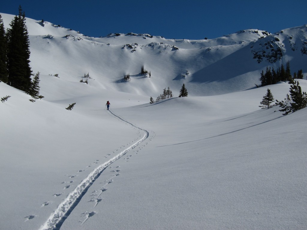 Making our way up Granite creek and into the alpine in Mount Rainier National Park