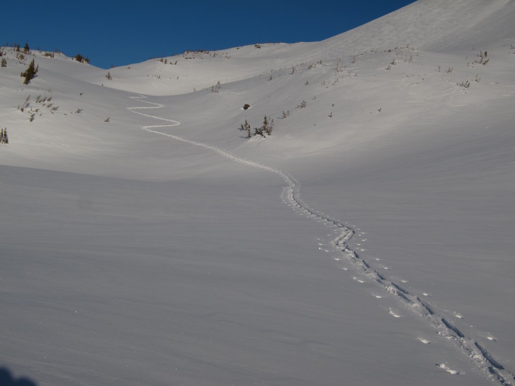 Skinning up Berkley Park to the 1st Burrough in the late alpenglow in Mount Rainier National Park during the Oscela Traverse