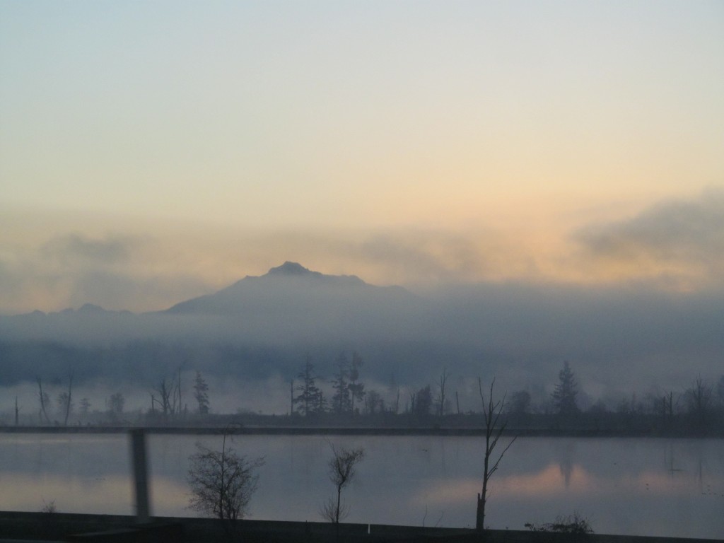 The view from I-90 near Everett