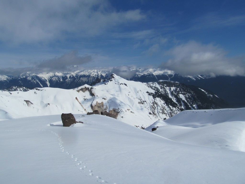 Gamma Gamma peak off in the distance