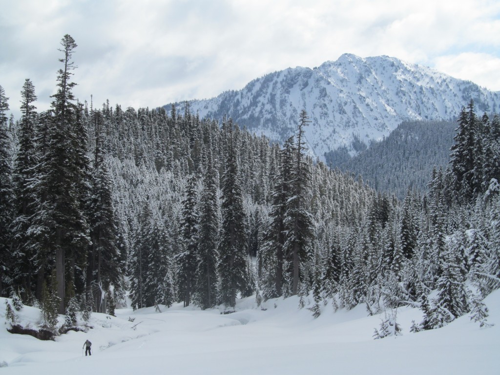 Looking back at Tamanos Mountain whie ski touring up Fryingpan Creek