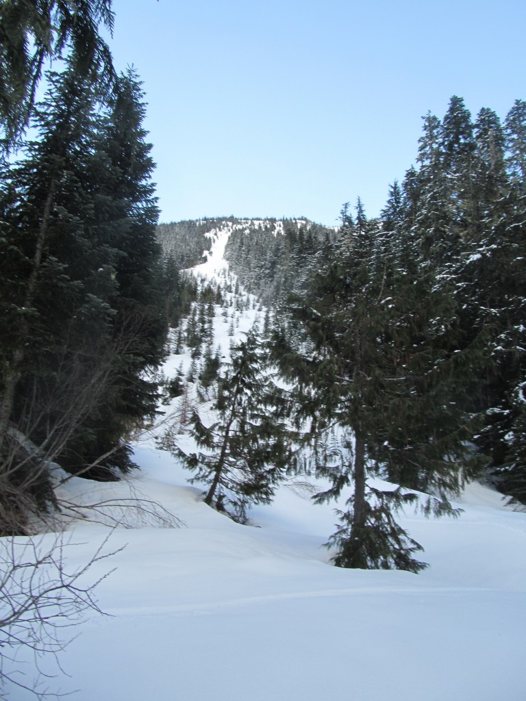 The NE chutes of Tamanos Mountain to Fryingpan Creek