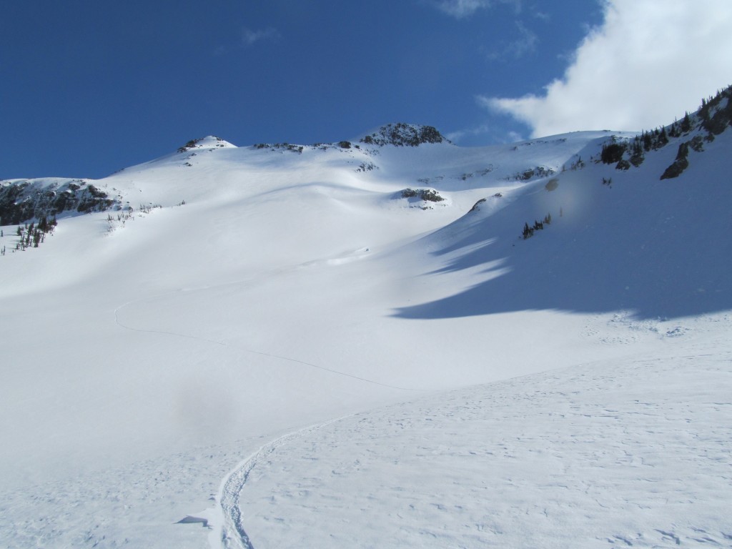 Sunshine and alpine. no complaints here during the Paradise to Carbon River ski traverse