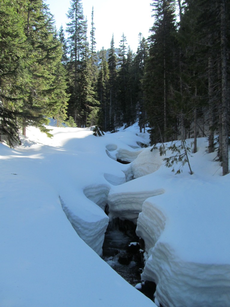 The curves of the creek made an impressive pattern 