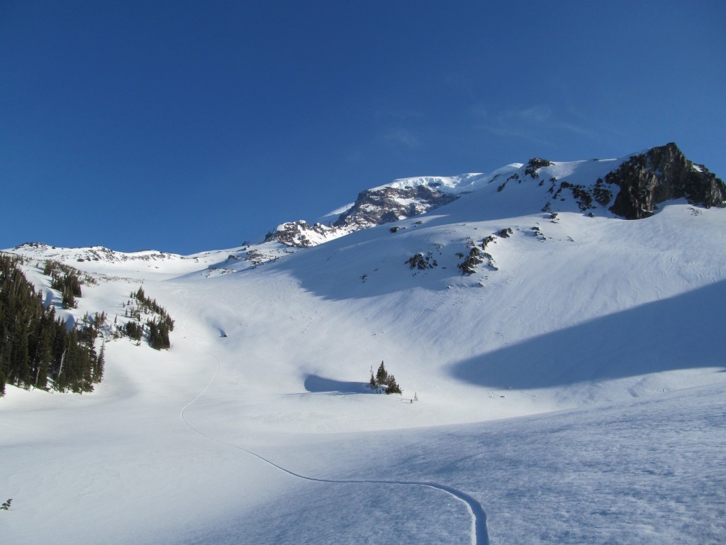 A few inches of powder in the Curtis Ridge area