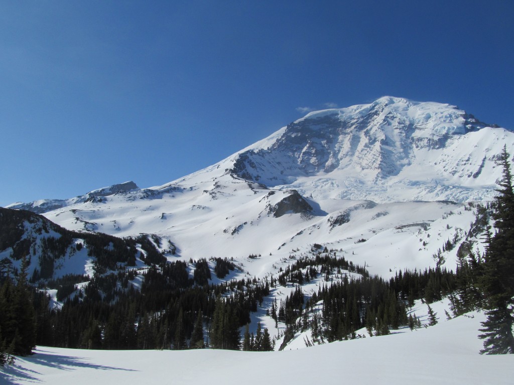 Looking at Curtis Ridge, Liberty Ridge and the Carbon glacier from the low col