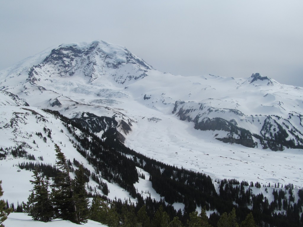 Rainier and the massive Carbon Glacier during the Paradise to Carbon River ski traverse