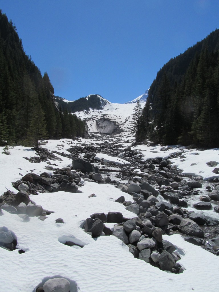 The lowest glacier in the lower 48 with a toe at 3500 feet