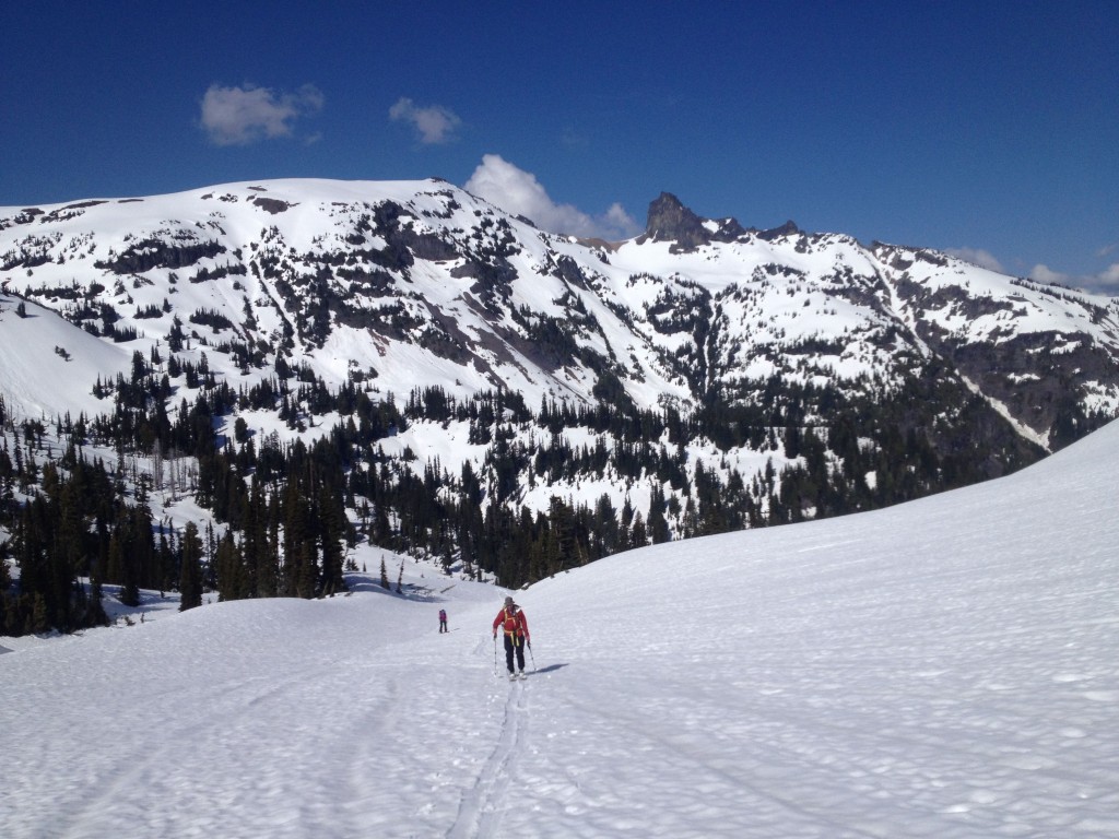 Skinning up Ohanapecosh Basin towards Whitman Crest