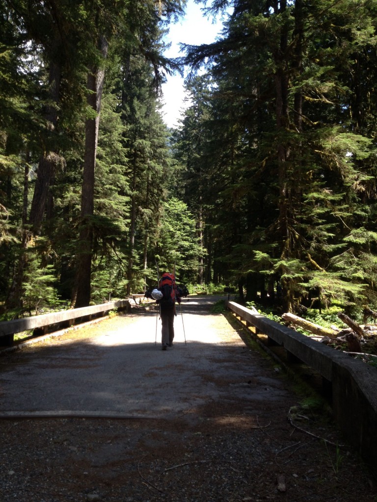 Heading up the Carbon River Road while ski touring along the Wonderland Trail