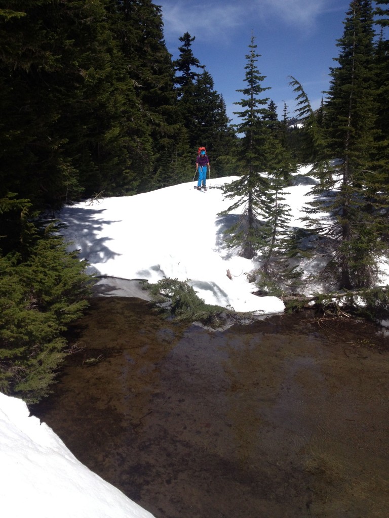 Heading into Moraine Park while ski touring along the Wonderland Trail