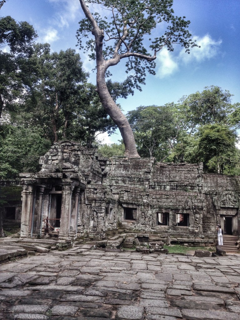 There's a tree going throught your building