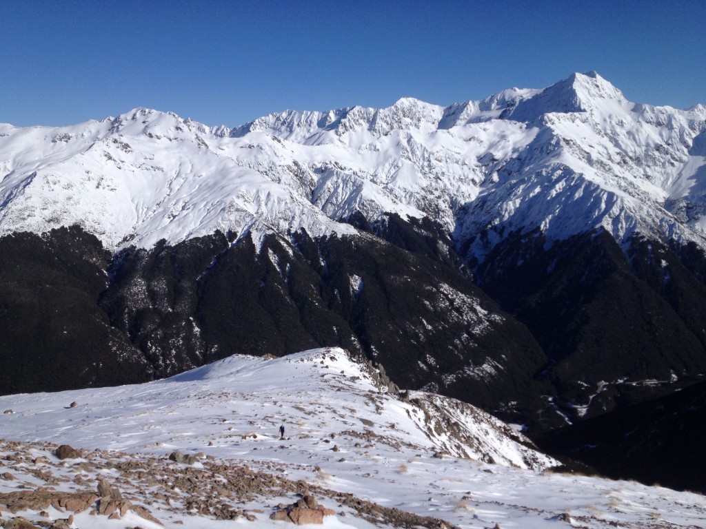 Climbing into the alpine