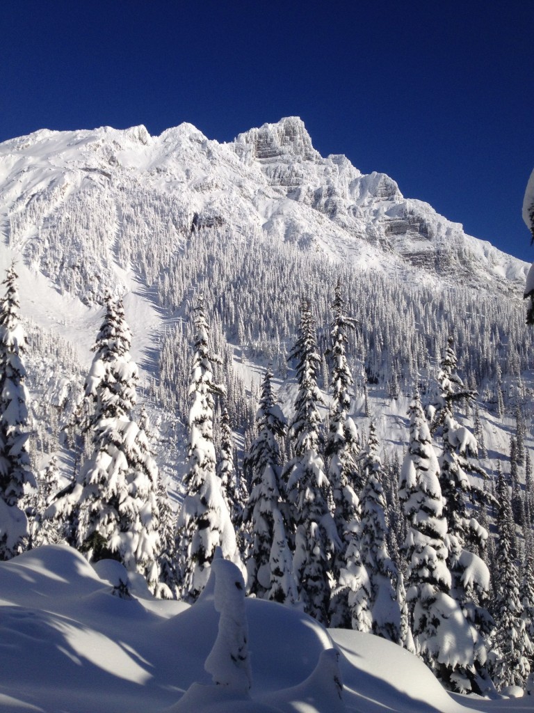 Rogers Pass 1