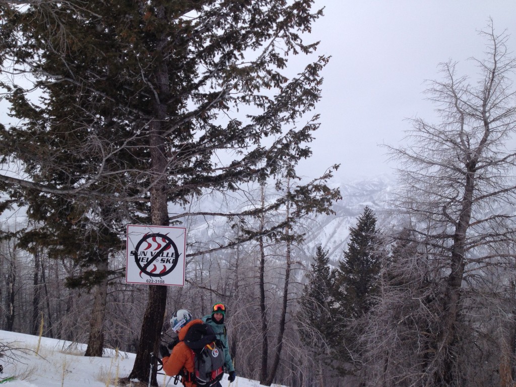 Backcountry Gate