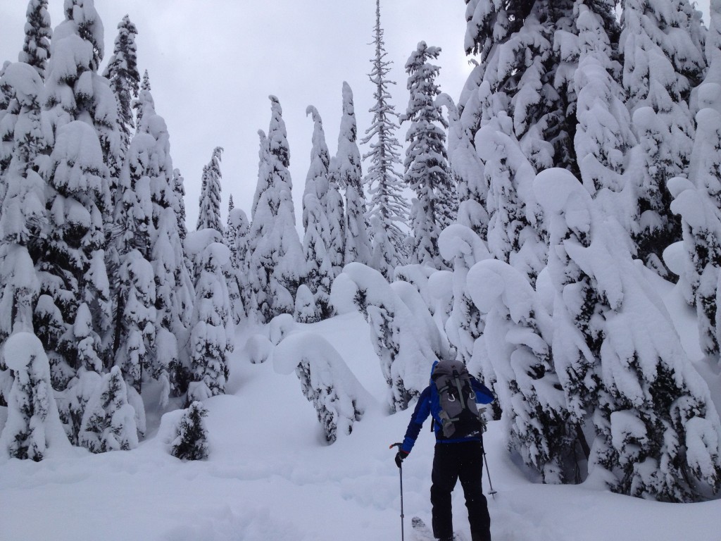 Amar skinning into the Tatoosh Range and up to Sunbeam Basin