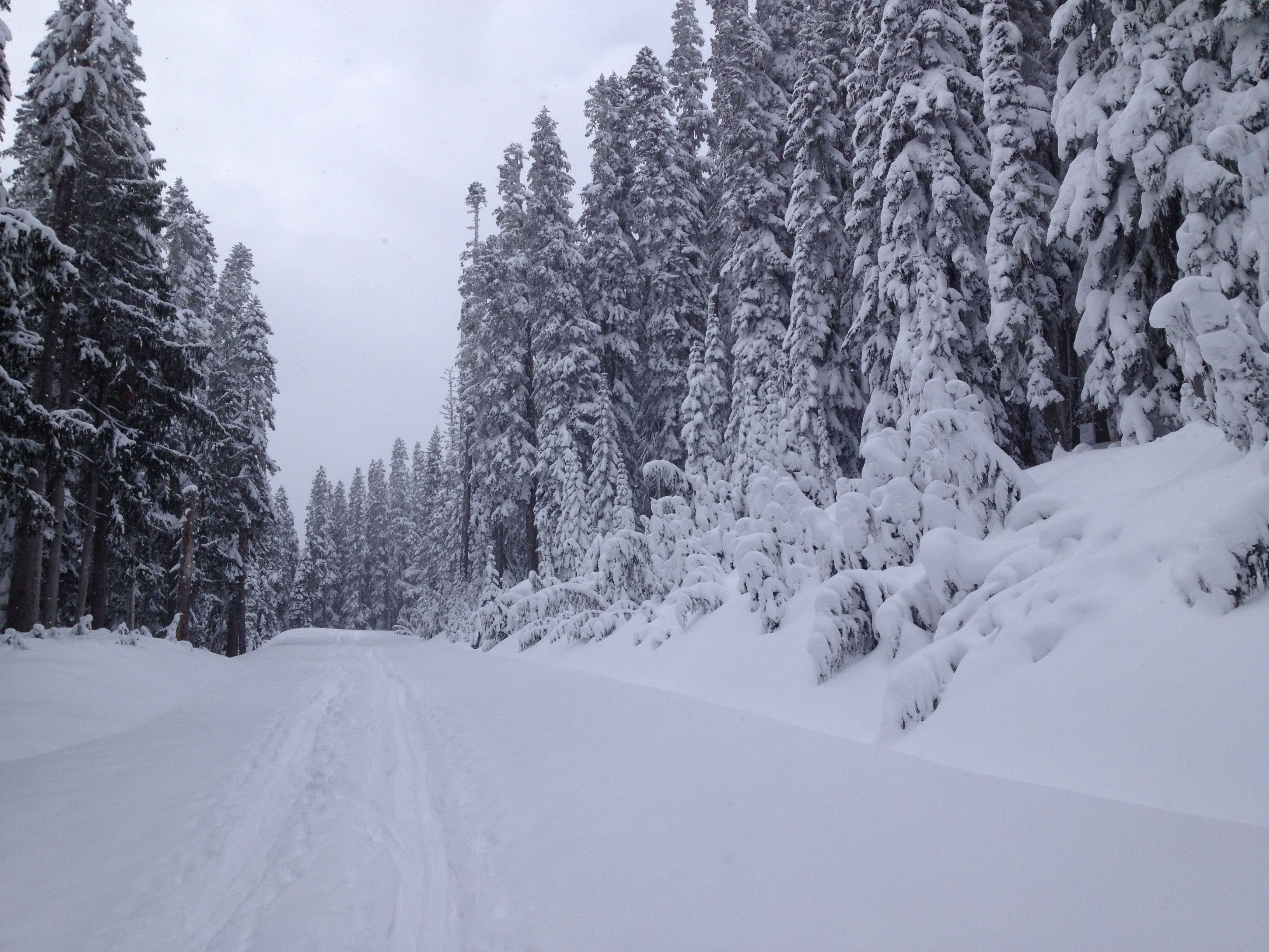 Skiing back on the road to the Narada Falls parking lot