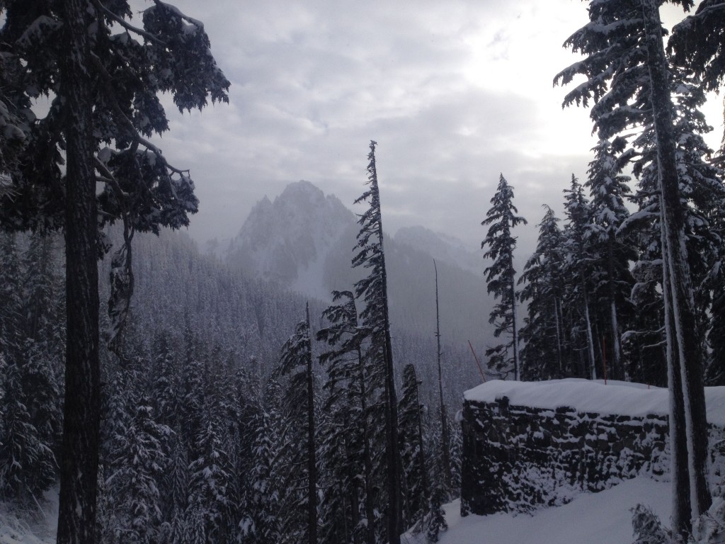 Tatoosh scenery from Narada Falls