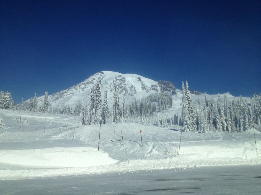 Looking at Rainier from the Paradise Parking lot