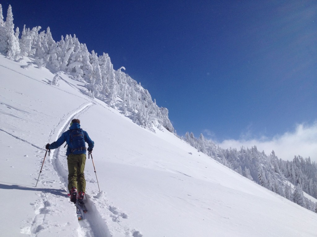 Zach skinning up Edith Creek