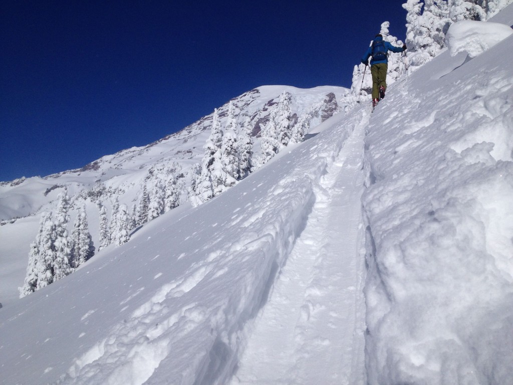 Ski touring up Edith Creek Basin with Rainier in the background