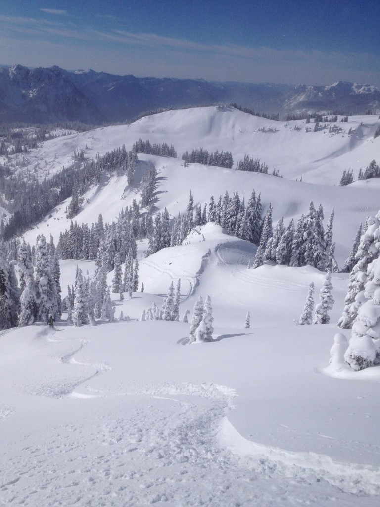 Zach putting first ski tracks in Edith Basin on Mount Rainier