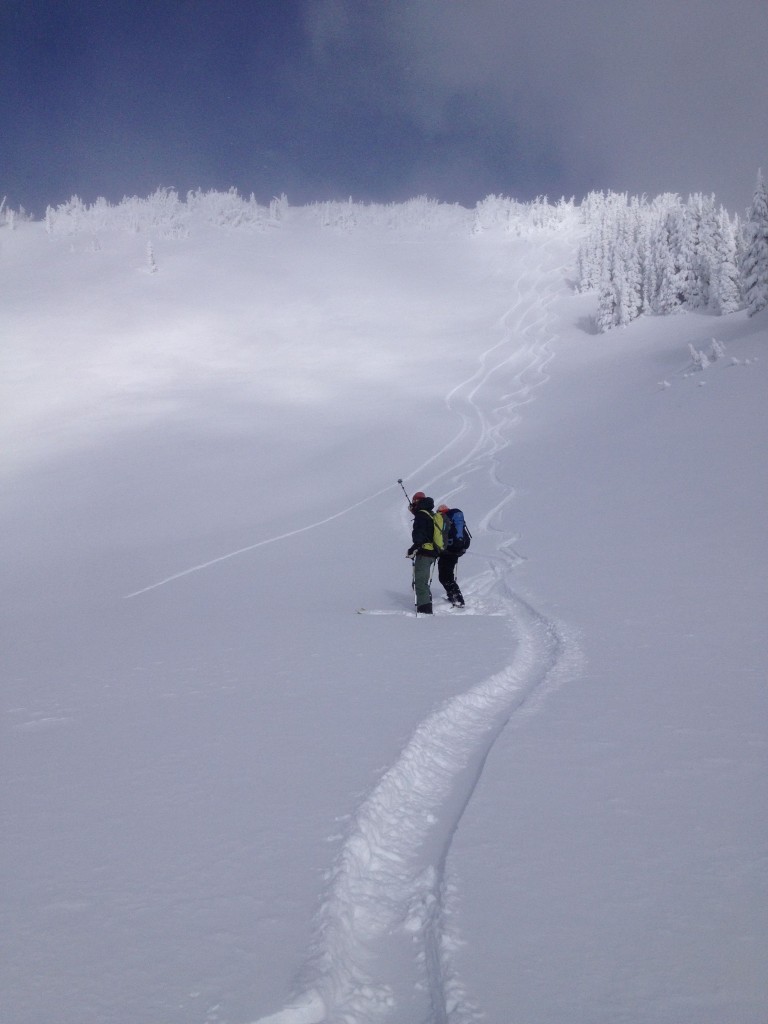 Great snowboard tracks into Edith Creek Basin