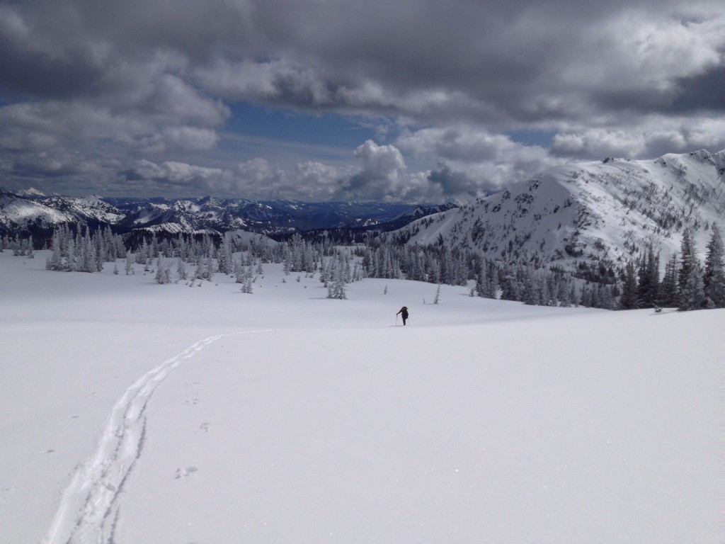 Skinning up to the Pallisade