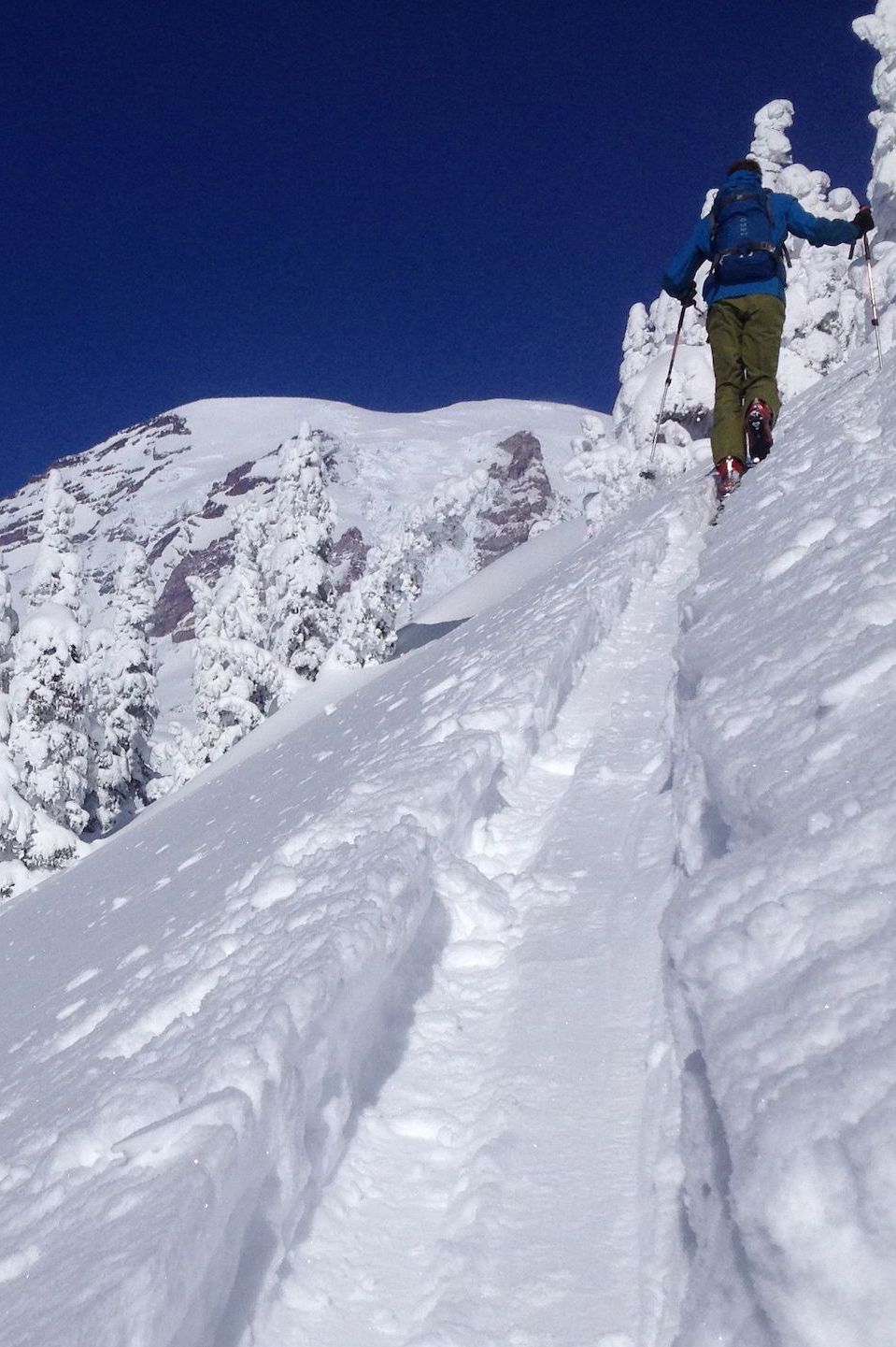 Ski Touring in Mount Rainier National Park