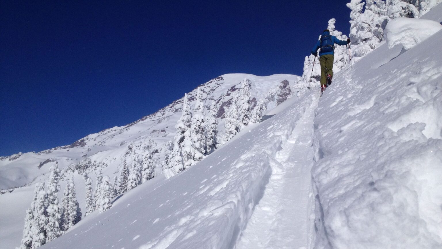 Ski Touring in Mount Rainier National Park