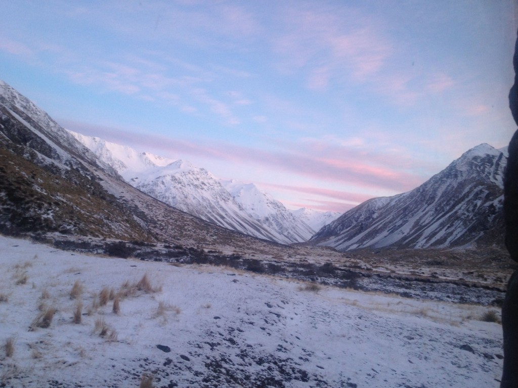 Dust on Tussock