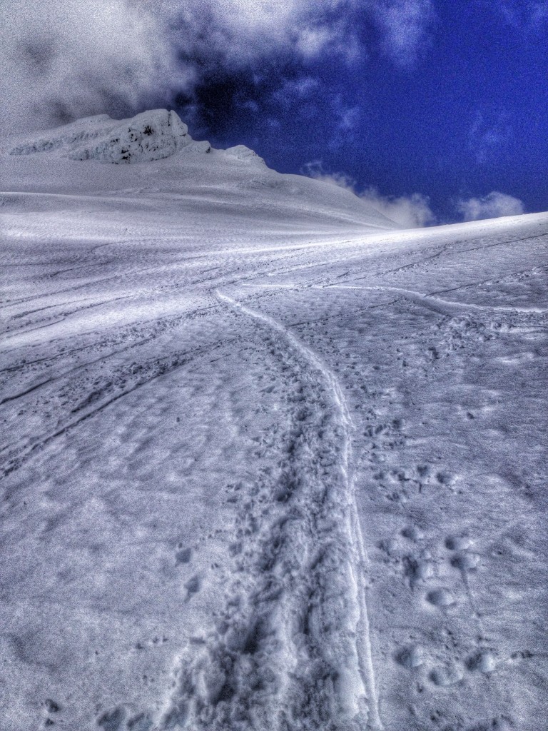 Not snow shoes on the skin track