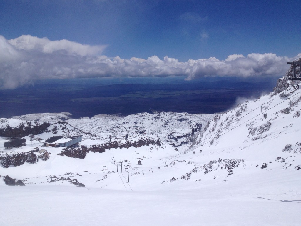 Bluebird Pow