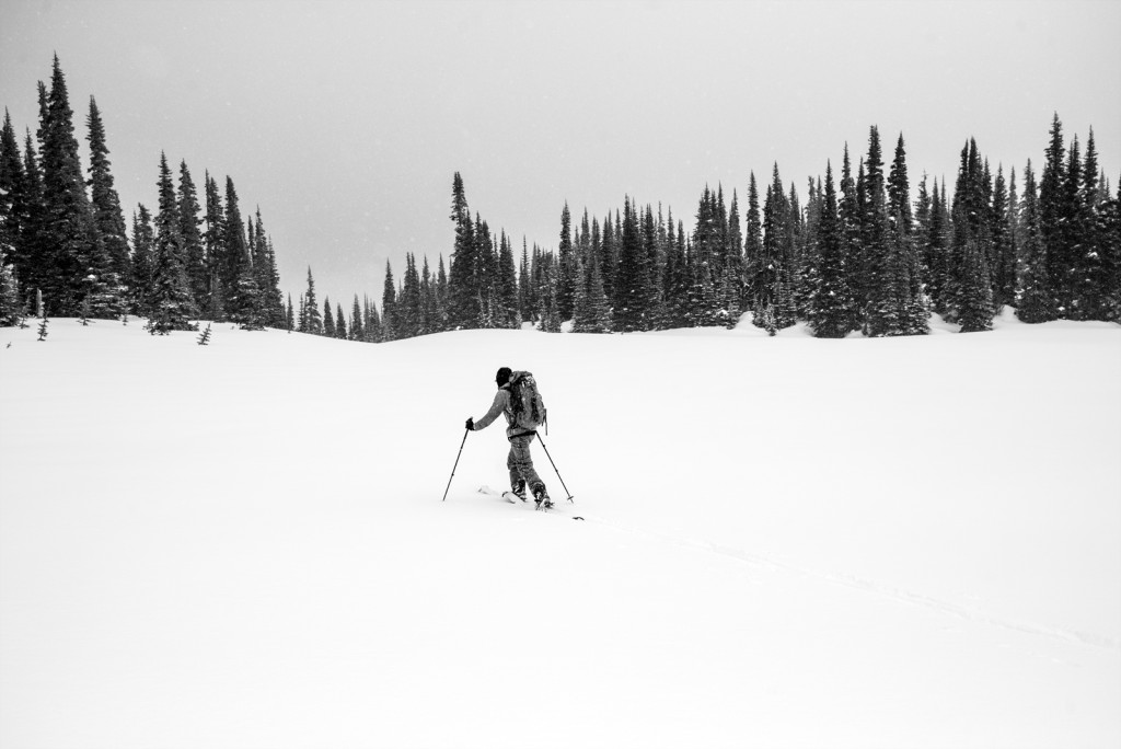 Skinning out of Big Crow Basin during the Crystal Mountain to Stampede Pass Ski Traverse