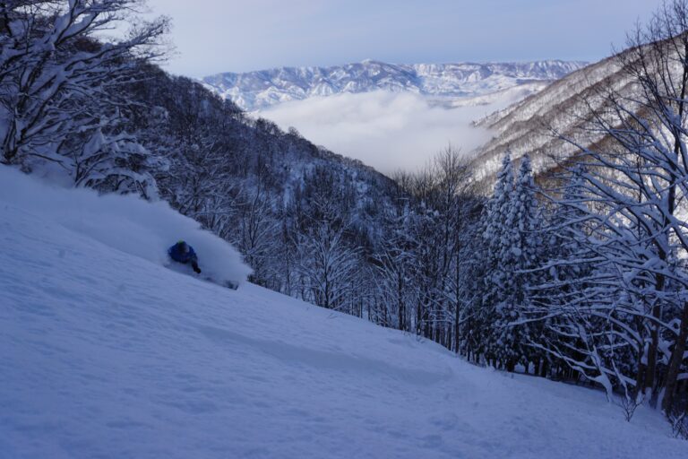 A stunning day riding powder in Japan
