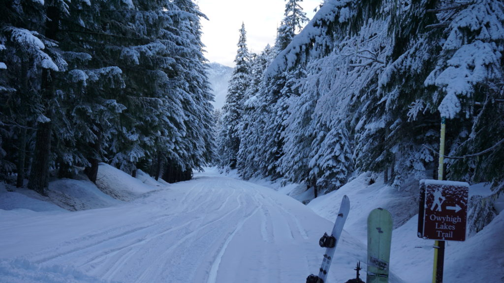 Starting our ski tour at the Owyhigh Lakes trail head in Mount Rainier National Park