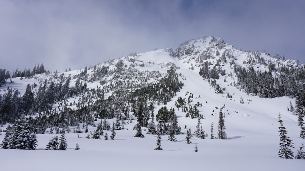 Looking up at our first run of the day on Tamanos Mountain in Mount Rainier National Park