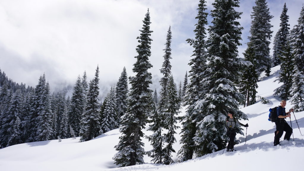 Jason and Boot ski touring to the top of Tamanos Mountain in Mount Rainier National Park